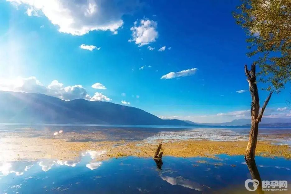 云南权威供卵试管机构名单合集，2025高龄供卵医院选择指南