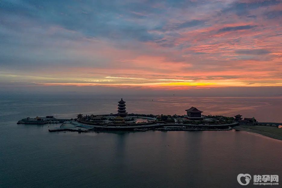 2025山东供卵试管公司全攻略，汇总10家私立供卵生殖中心