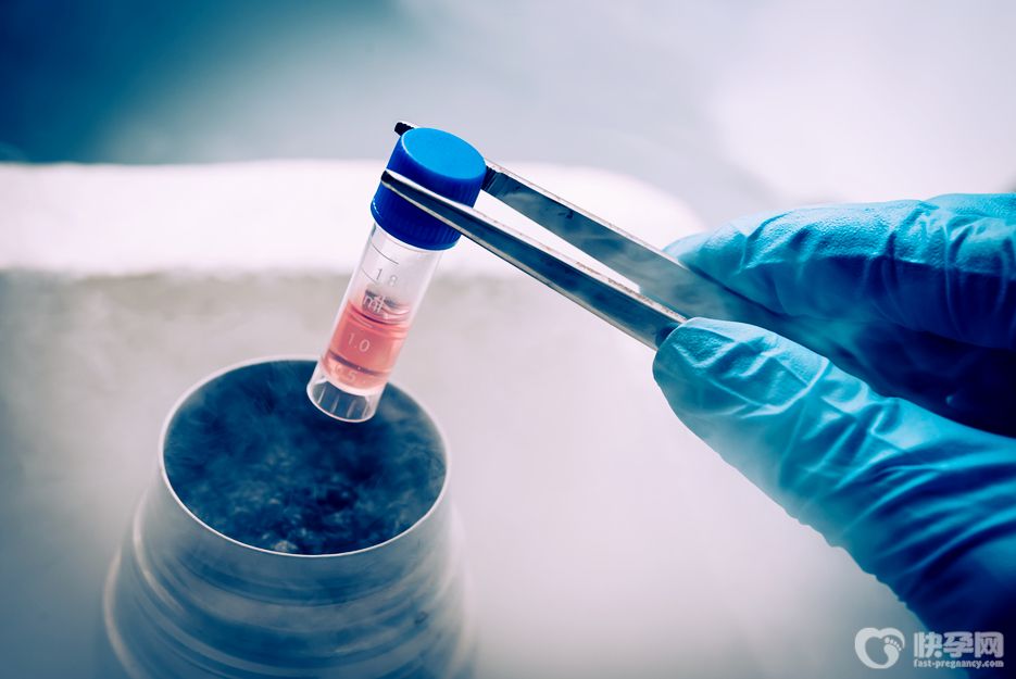 2025湖南三代试管供卵费用高吗？附正规医疗机构三代试管供卵费用清单