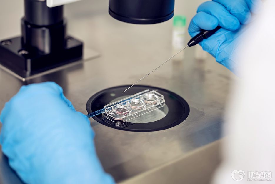 2025湖南正规供卵试管婴儿机构清单公布-这10家正规机构排名前列