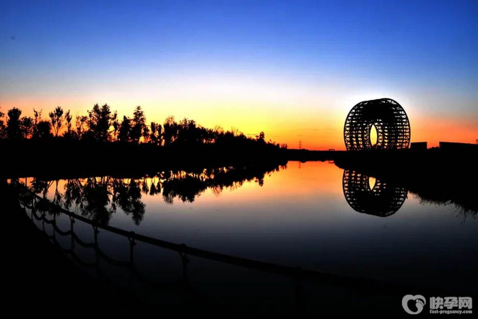 2025长春做试管借卵费用统计表，附借卵生子成功率医院排名