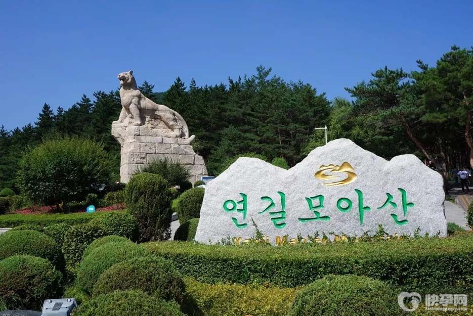 2025延边供卵做试管的费用，附最新供卵试管助孕机构名单