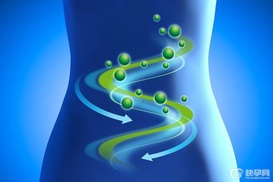 对肠道健康有益的19种食物，经常吃肠道会越来越健康