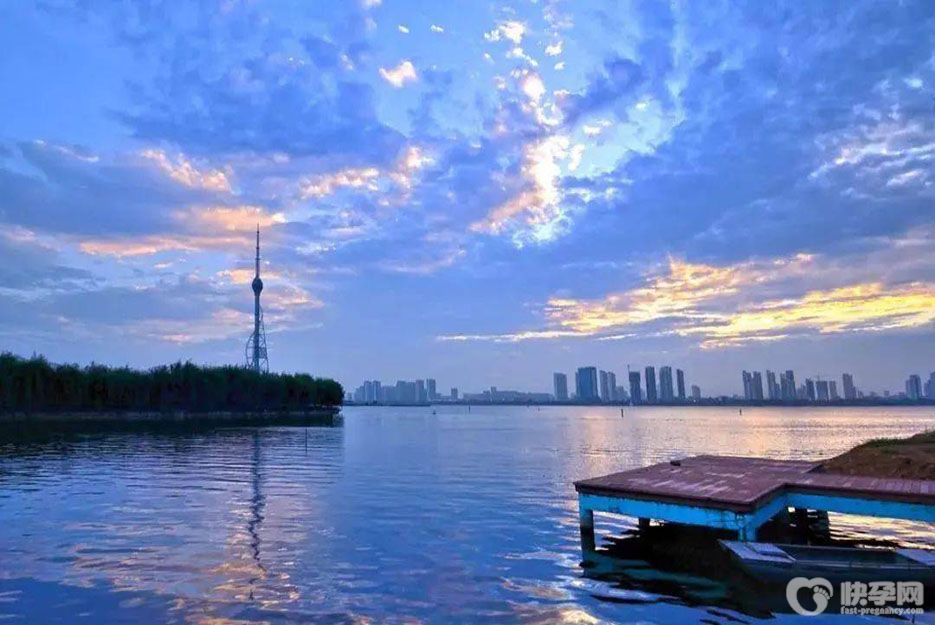 临沂民间捐卵试管机构重磅公布，附2025临沂捐卵试管费用估算