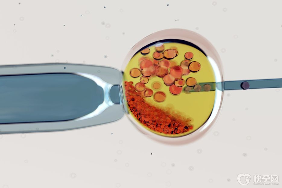 2025贵阳供卵试管医院排名榜发布-附各大医院卵源等待时间