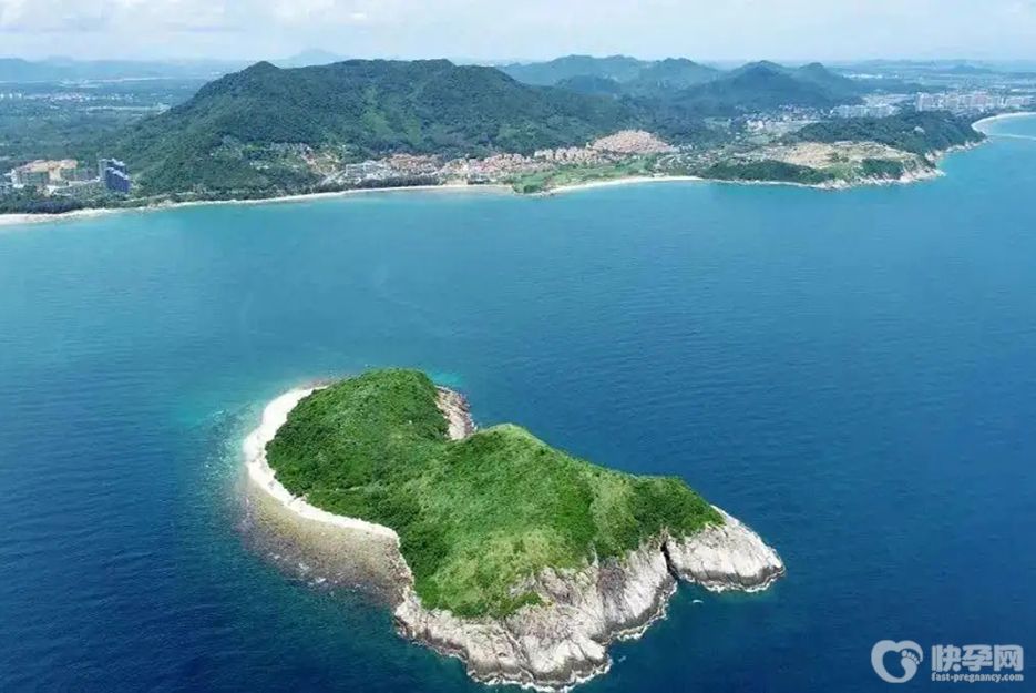 2025海南代怀生子需要多少钱？含海南省试管婴儿医院费用大全