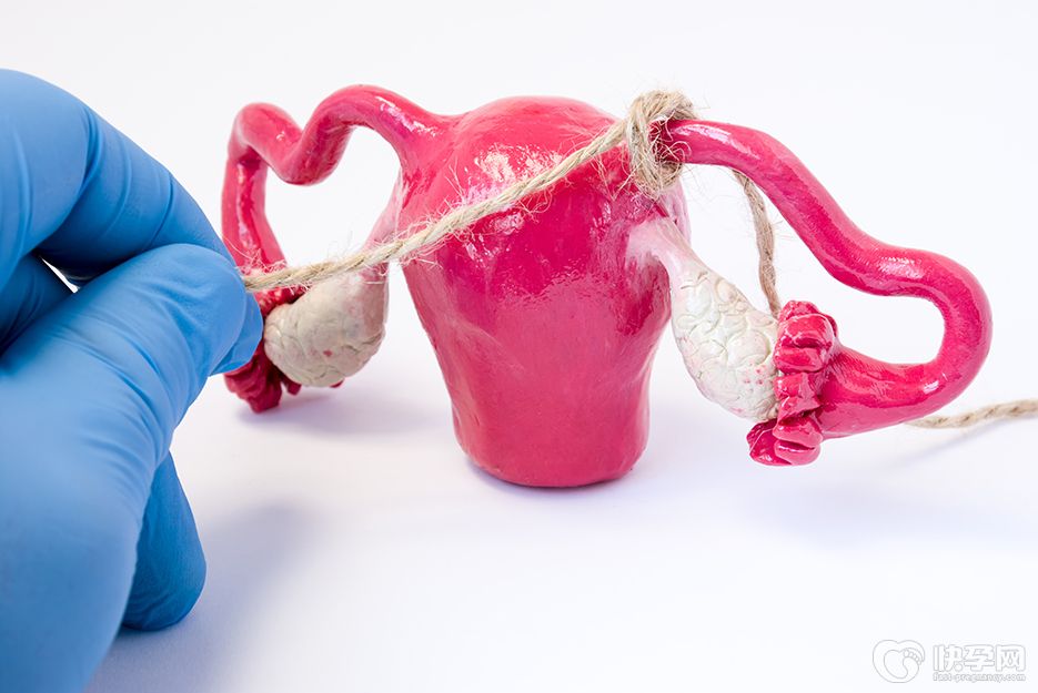 子宫被切除后还能做试管吗？答案可能不是你所期待的