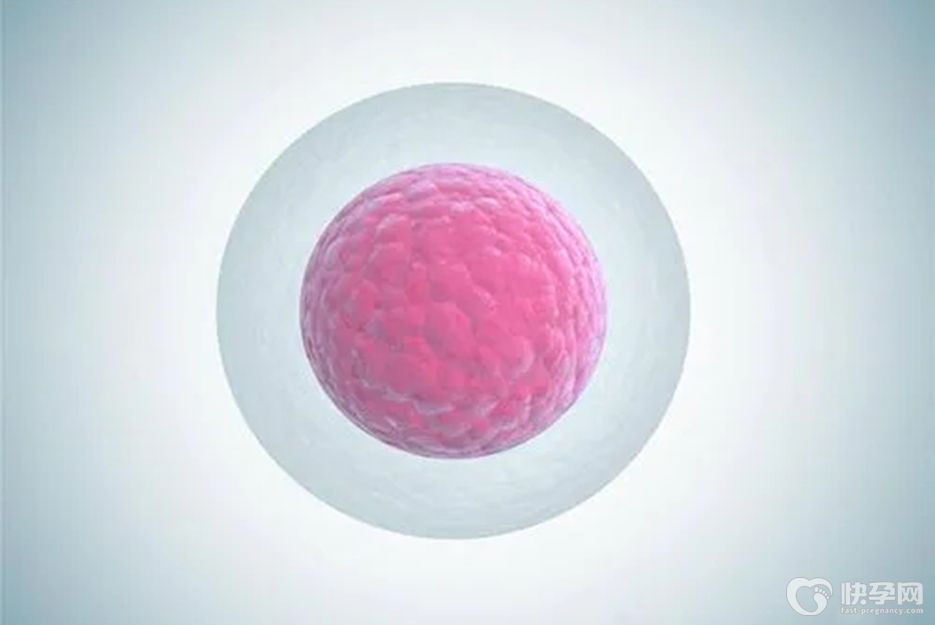 2025国内借卵做试管的医院十强揭晓，附借卵不排队医院选择攻略