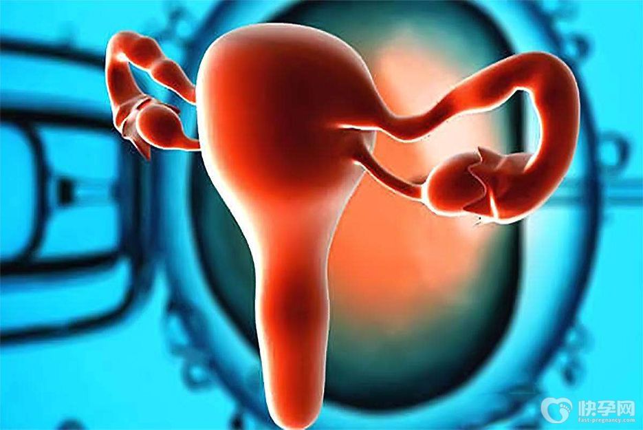 卵巢不好做试管能成功吗？需结合实际情况而定