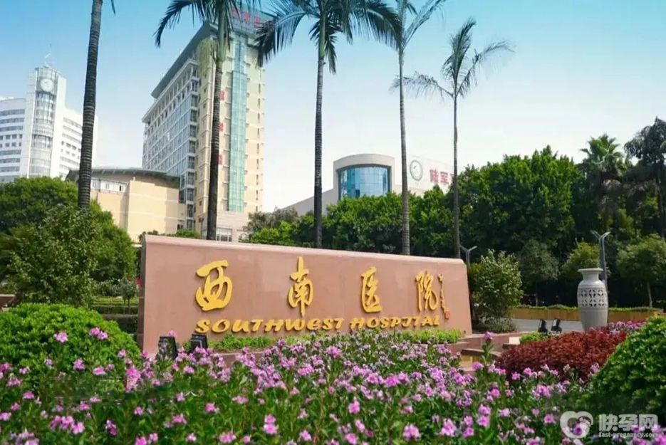 2025陆军军医大学西南医院供卵试管费用发布，附卵源等待时长