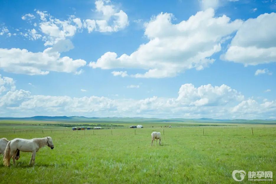 2025内蒙古包钢医院供卵试管费用详情发表，附影响因素一览