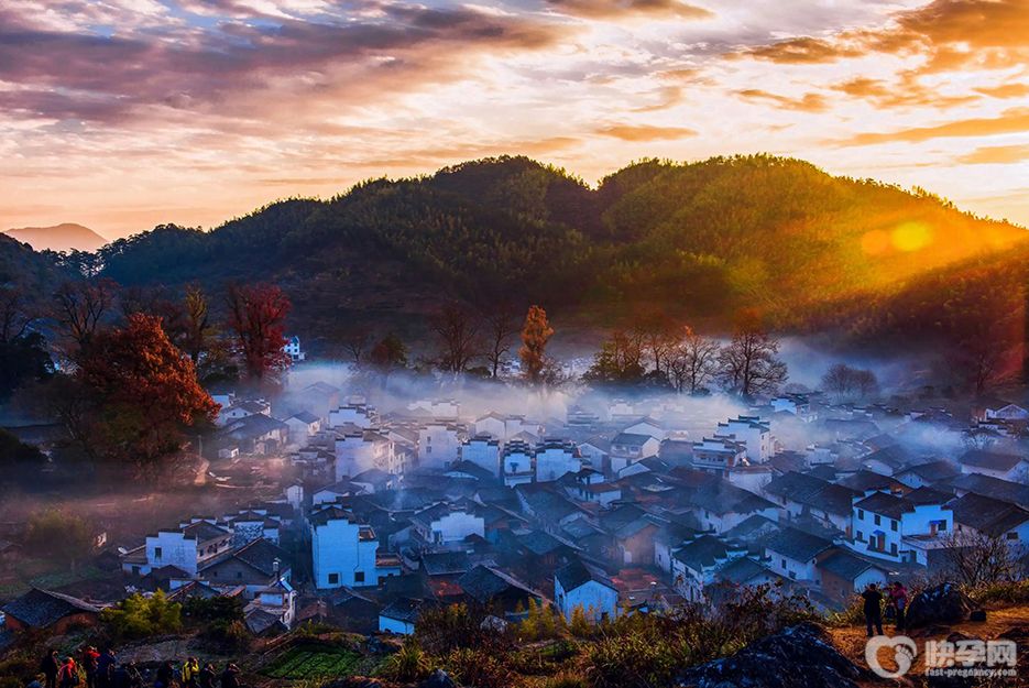 上饶市妇幼保健院供卵试管费用，附2025江西供卵试管医院排名