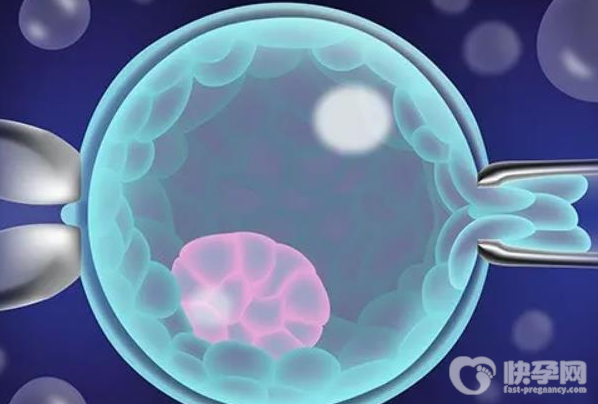 试管促排期间有炎症先别慌,三个方法帮你有效解决