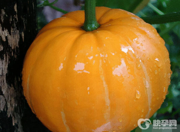 羊肉不能和什么一起吃？哪些人不适合吃羊肉？本文都说清楚了