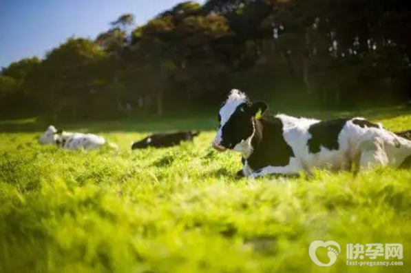有机奶粉的优点有哪些，这三大好处了解清楚再选购