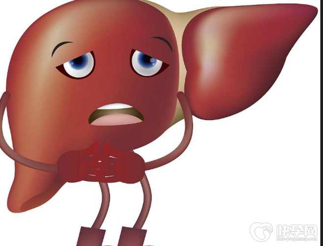 肝不好吃什么食物调理，5种食物养肝更护肝，肝脏不好要多吃