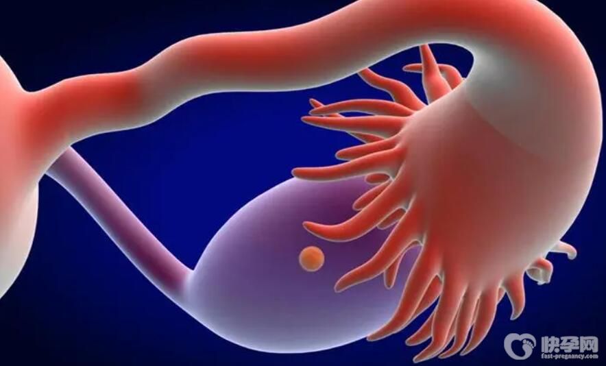 输卵管不通能不能做试管？为什么不建议做输卵管通水？