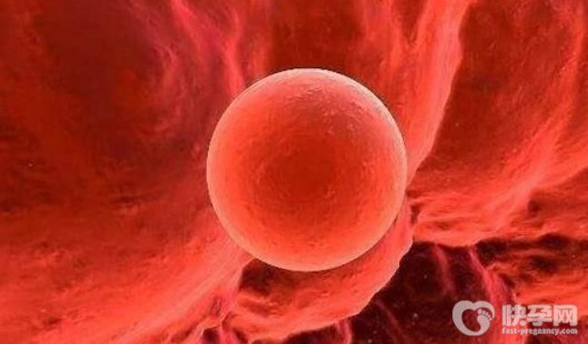 红斑狼疮可以做试管要孩子吗女生？