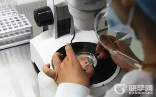 肾炎做三代试管费用多少钱？