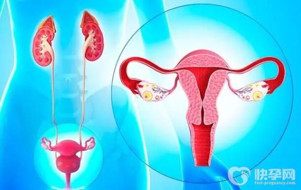 子宫腺肌症做试管婴儿有影响吗多少钱一次？