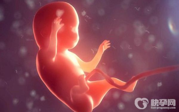 56岁失独母亲做试管婴儿怎么样？成功率高吗？