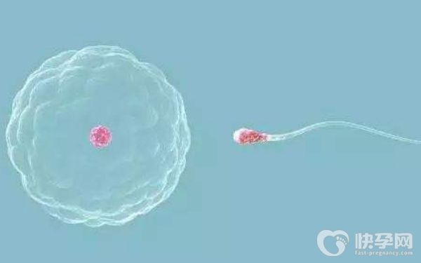 2023年西宁三代试管生儿子价格明细出炉！请查看