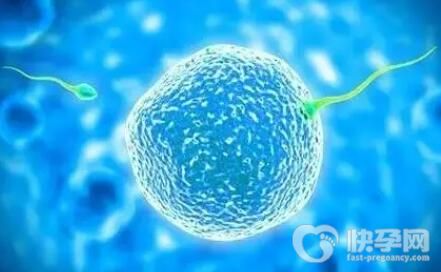 几代试管选性别成功率高？附试管费用详情？