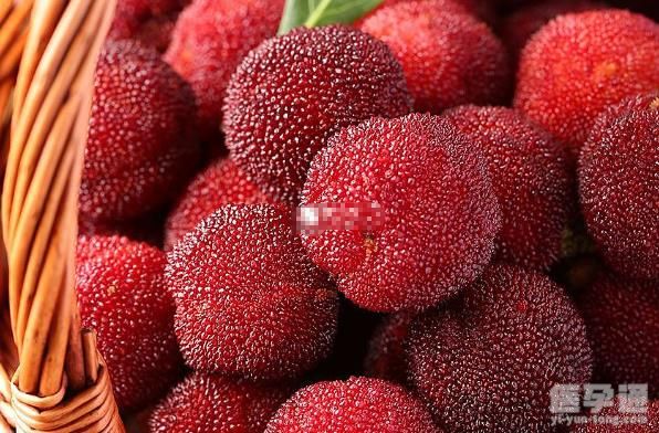 孕妇是否可以吃杨梅说明，富含维生素C可快速缓解孕吐！