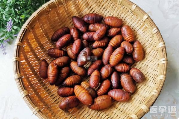 孕期女性吃蚕蛹的好处一览，适量进食可有效增强抵抗力!