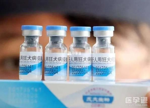 为什么说打完狂犬病疫苗会后悔？疫苗被滥用只是原因之一！