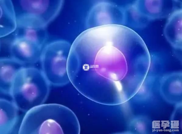 患有血友病的女性做第三代试管婴儿能完全消除遗传风险吗？