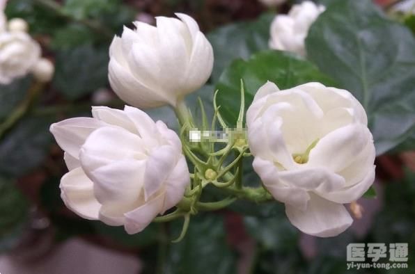 女孩子取名也并非简简单单，这3个名字听起来就很干净！