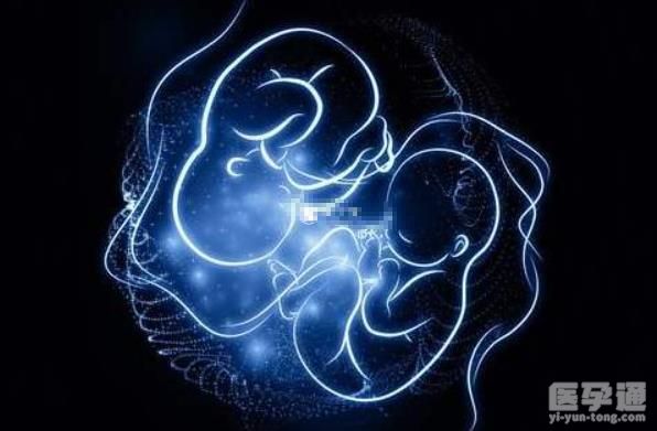 出自古诗的龙凤胎名字公布，取忆风、忆月唯美且含诗意！