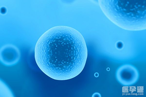 男性无精子不做试管还有其他能生孩子的方法吗？