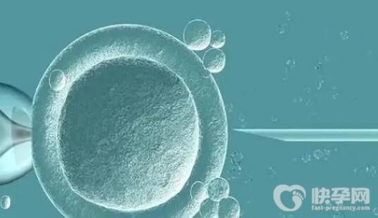 2024济宁试管男孩费用一般多少钱？