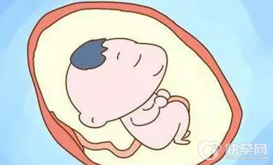 2024试管怀女宝成功率高吗多少钱？附详细流程介绍？