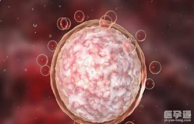 试管卵泡检测单上显示的ser代表什么？一文解决你的所有问题！