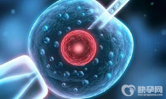 血糖偏高能否试管移植男孩？费用多少钱？