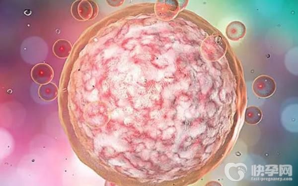 2023蚌埠试管婴儿医院排名！附医院详细介绍