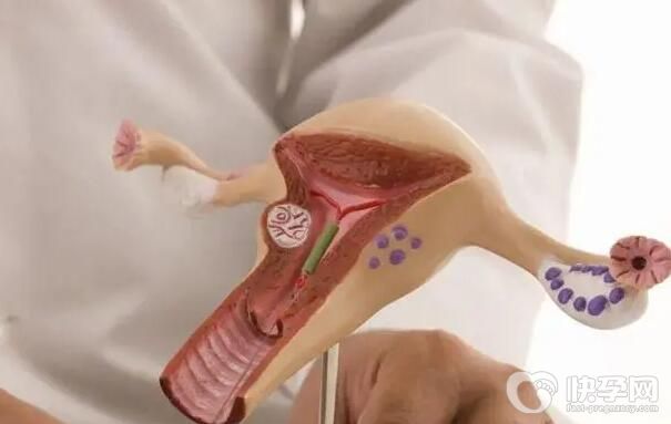 2024纵隔子宫甘肃做试管男孩多少钱？成功率高吗？