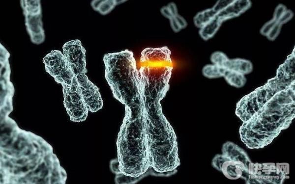 杭州胚胎染色体检查费用分享，上城区这些实验室误差低。