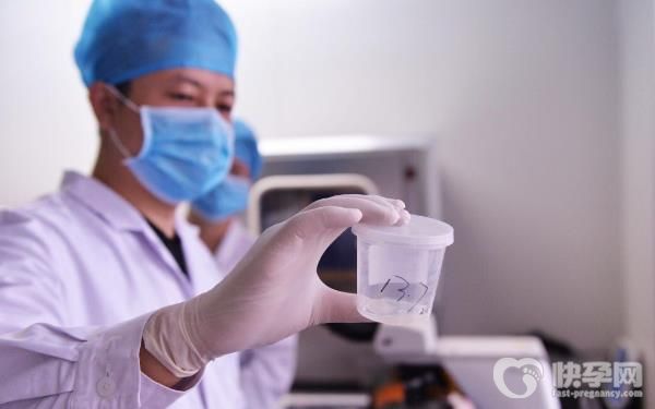 2023年赠卵试管婴儿费用明细表！准备7万元就够了