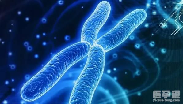 染色体异常性不孕可以做试管婴儿吗？易患人群有哪些？