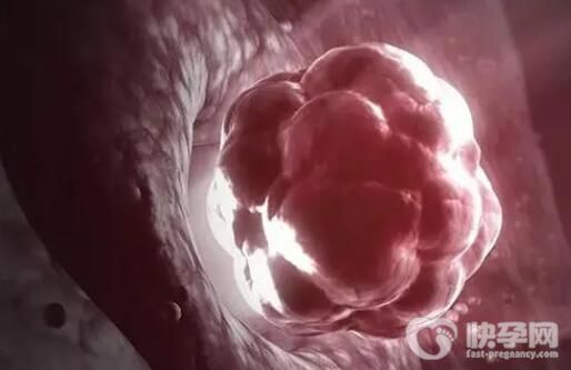 2024成都市第五人民医院试管选男孩费用多少？