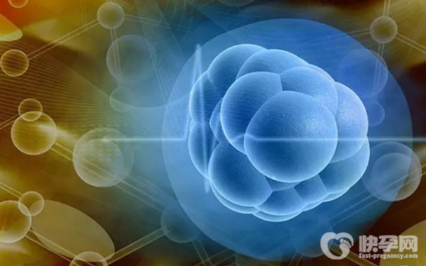 2023年武汉的赠卵试管费用清单！一次准备7万就够了