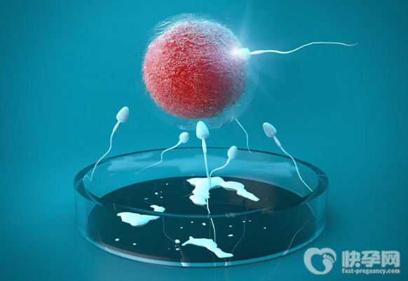 2023年中山博爱医院试管婴儿费用明细！附最新供卵费用价格