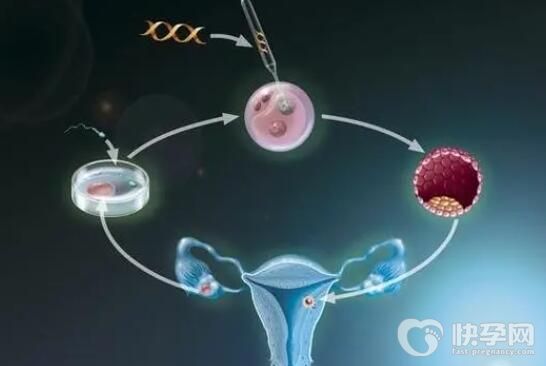 2024怀孕试管男孩几月最好？阳历五六月做试管好吗？