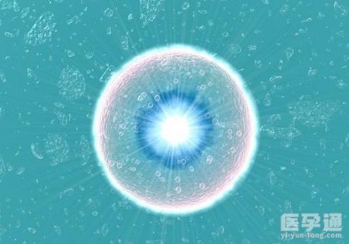 高龄女性去香港做供卵试管可以选择性别么，让本地人来告诉你答案!