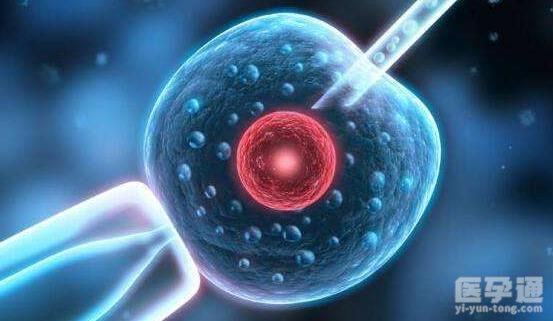 试管婴儿二代选性别可以吗,科学技术带来的新机遇!