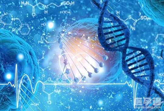 生男生女可以通过XY精子分离术吗？费用及选择需谨慎！